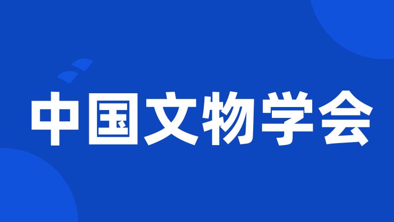 中国文物学会