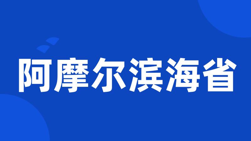 阿摩尔滨海省