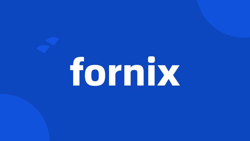 fornix