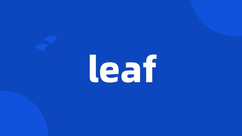 leaf