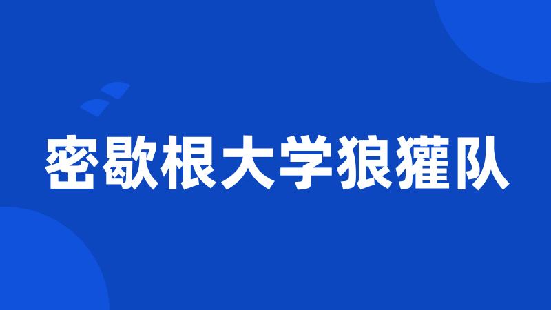 密歇根大学狼獾队