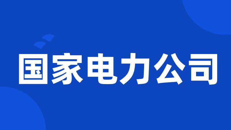 国家电力公司