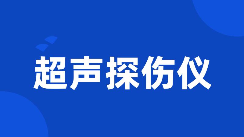 超声探伤仪