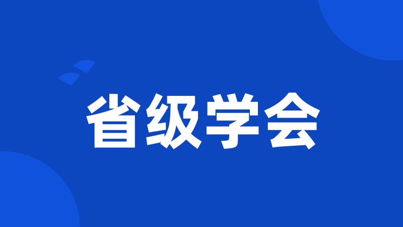 省级学会