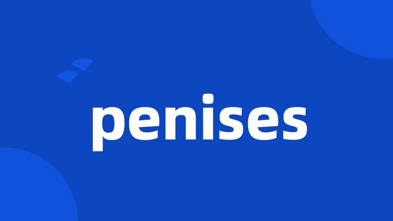 penises