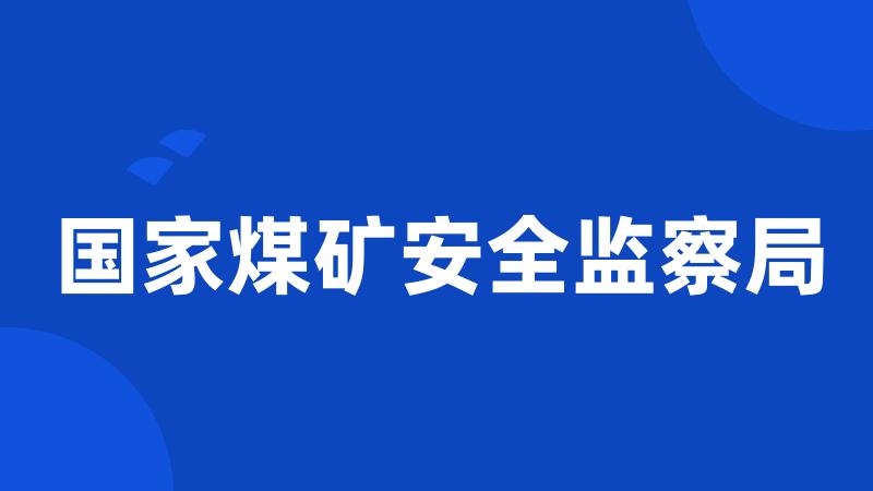 国家煤矿安全监察局