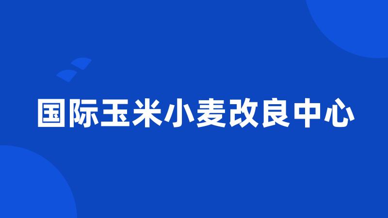 国际玉米小麦改良中心