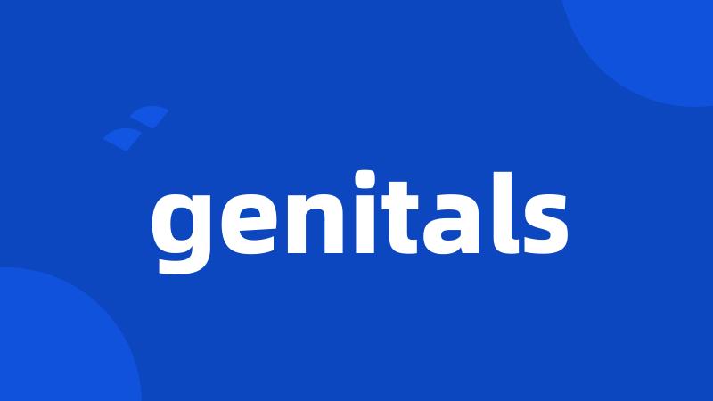 genitals