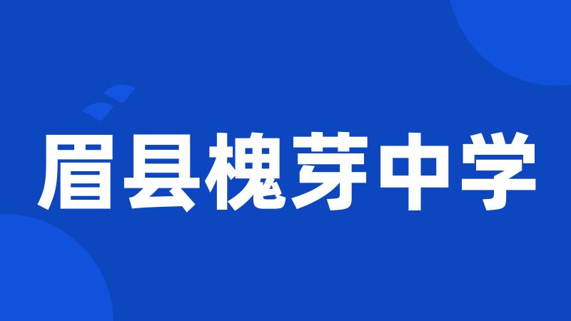 眉县槐芽中学