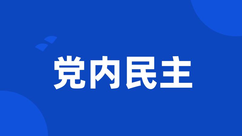 党内民主