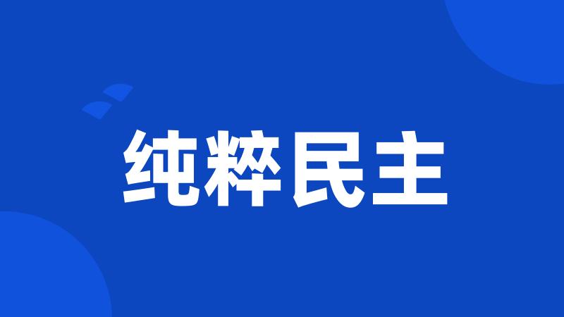 纯粹民主