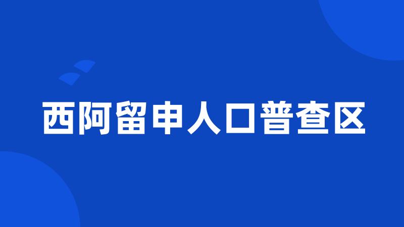 西阿留申人口普查区