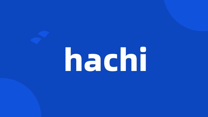 hachi