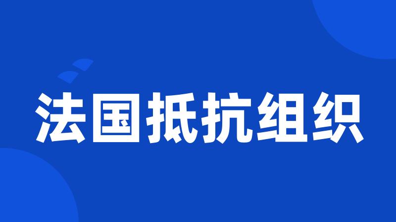 法国抵抗组织