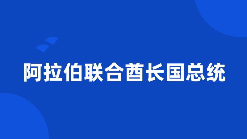 阿拉伯联合酋长国总统