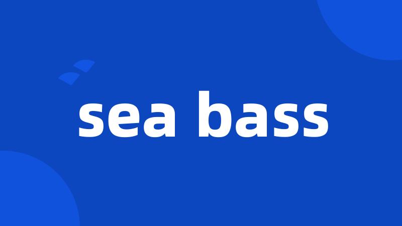 sea bass