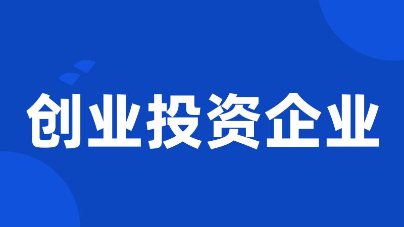 创业投资企业