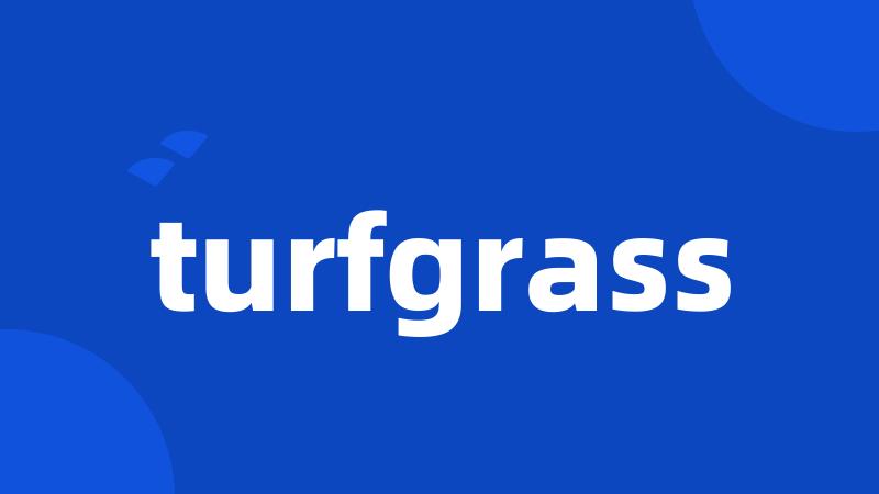 turfgrass