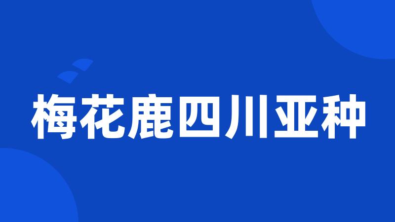 梅花鹿四川亚种