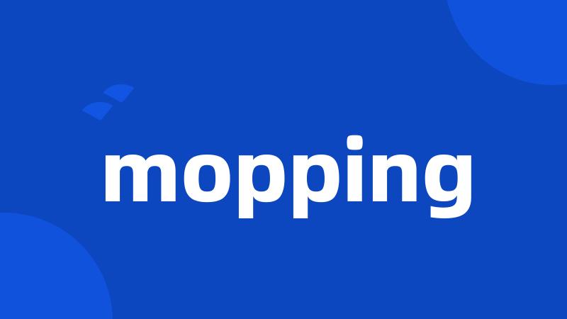 mopping