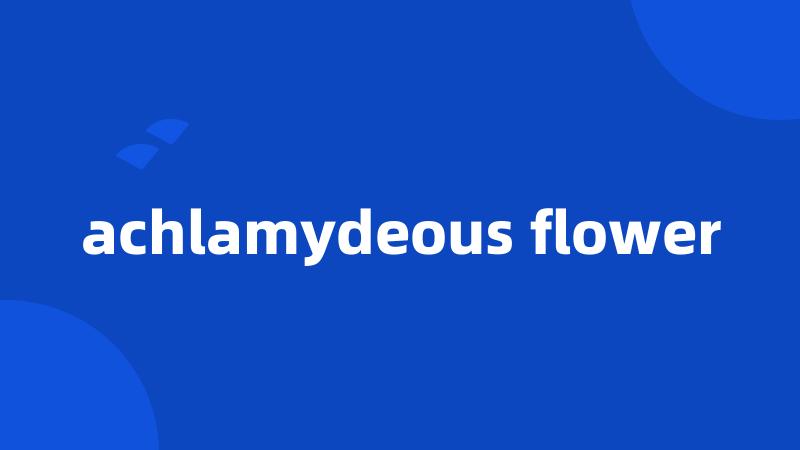 achlamydeous flower