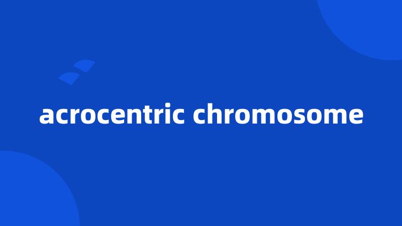 acrocentric chromosome