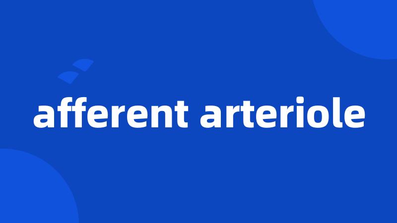 afferent arteriole