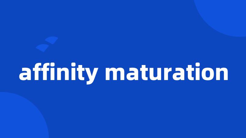 affinity maturation