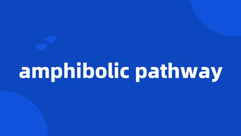 amphibolic pathway