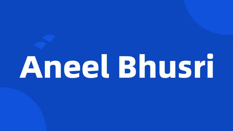 Aneel Bhusri