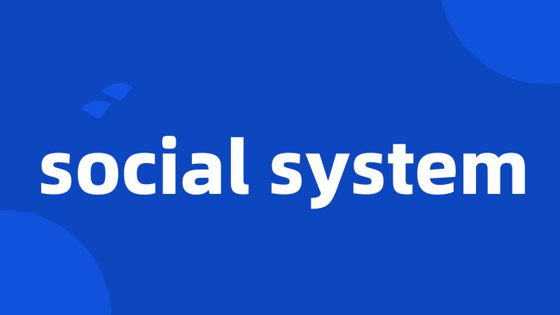 social system