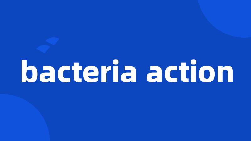 bacteria action