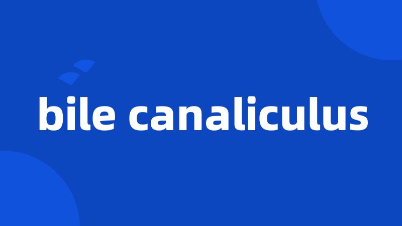 bile canaliculus