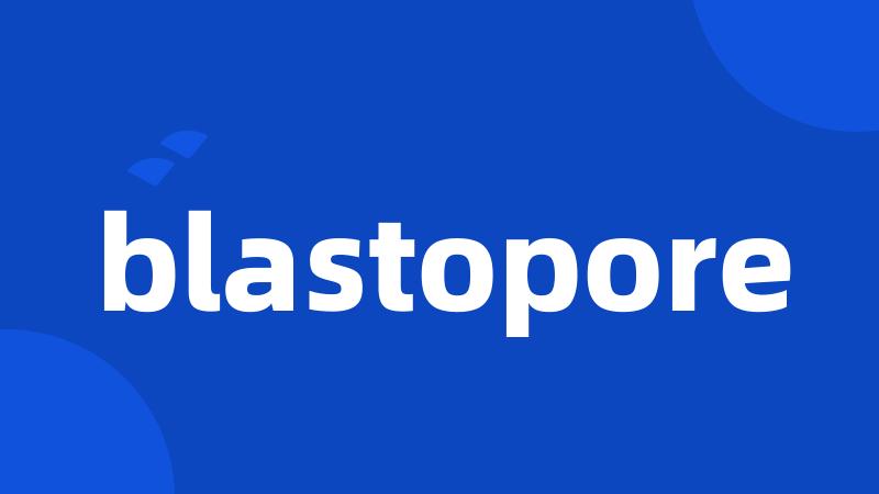 blastopore