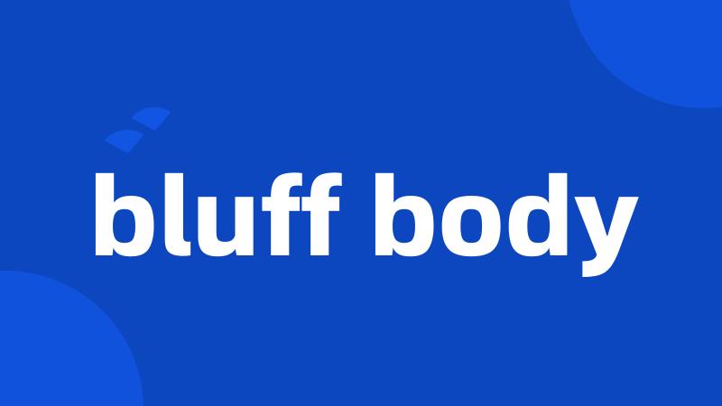 bluff body