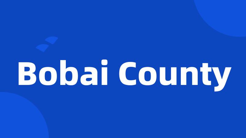 Bobai County