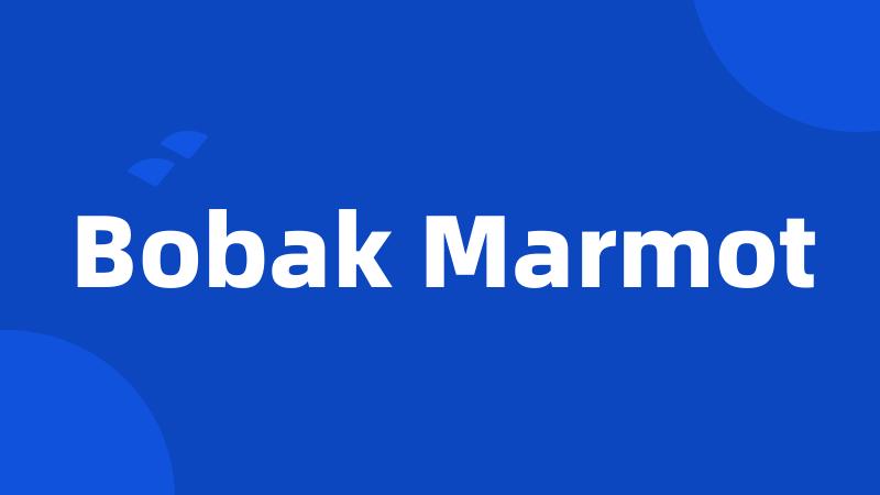 Bobak Marmot