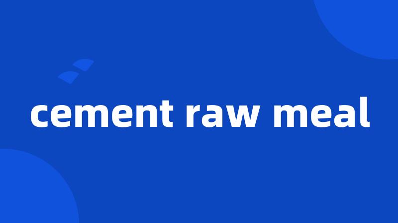 cement raw meal