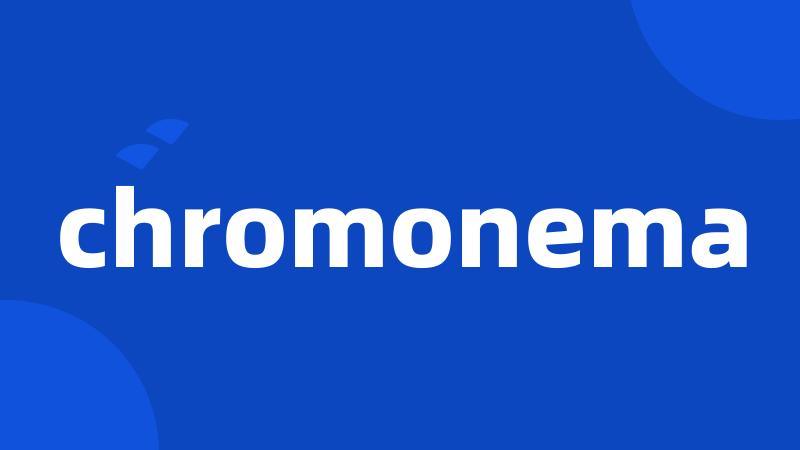 chromonema