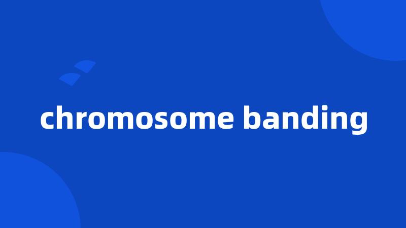 chromosome banding