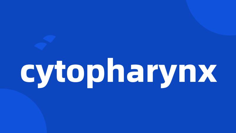 cytopharynx