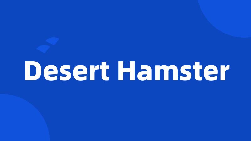 Desert Hamster