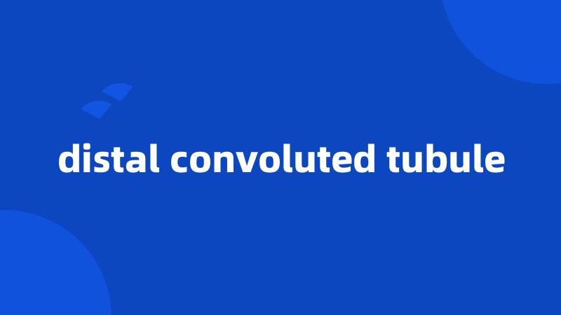 distal convoluted tubule