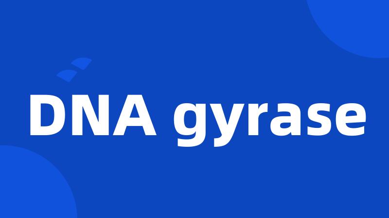 DNA gyrase