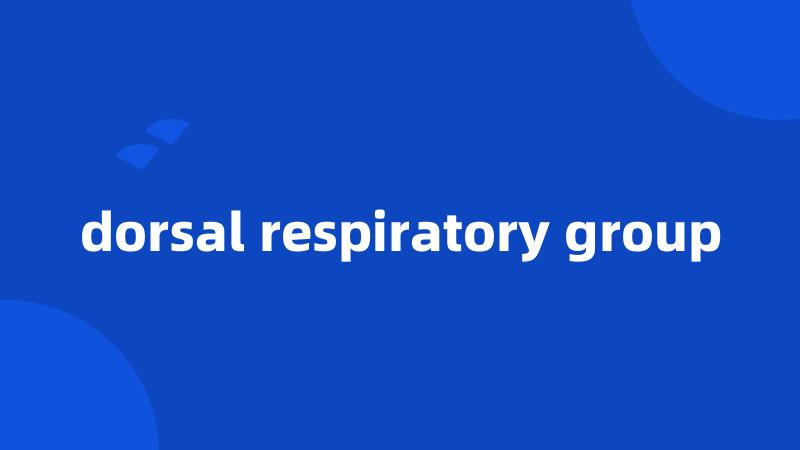 dorsal respiratory group