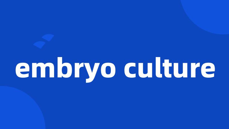 embryo culture