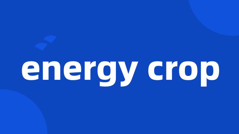 energy crop