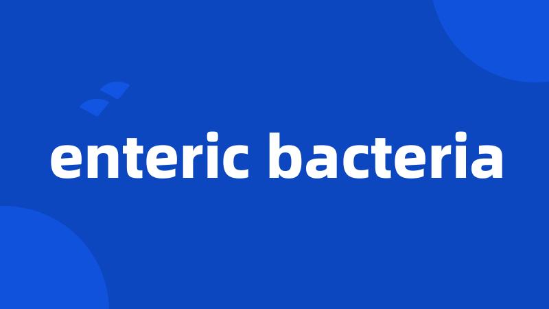 enteric bacteria