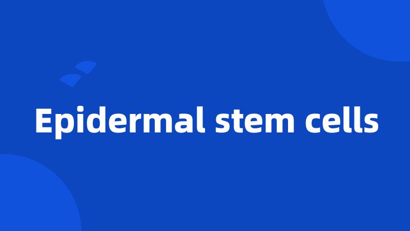 Epidermal stem cells