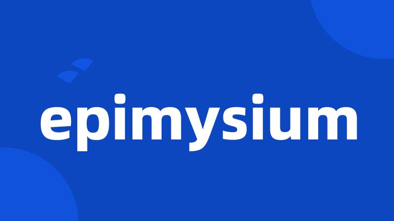 epimysium